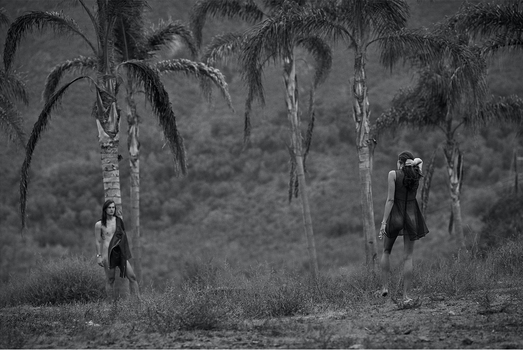 Sin título (nº 7933) Fotografía 36" x 44" Edición de 12 por Rowan Daly