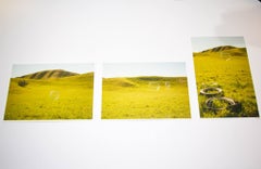 "Drift 8" Landscape Photography 40" x 30" Edition of 10 by Rowan Daly