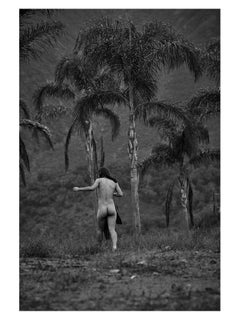 Untitled (Nr. 7817) Photography 44" x 36" Edition of 12 by Rowan Daly