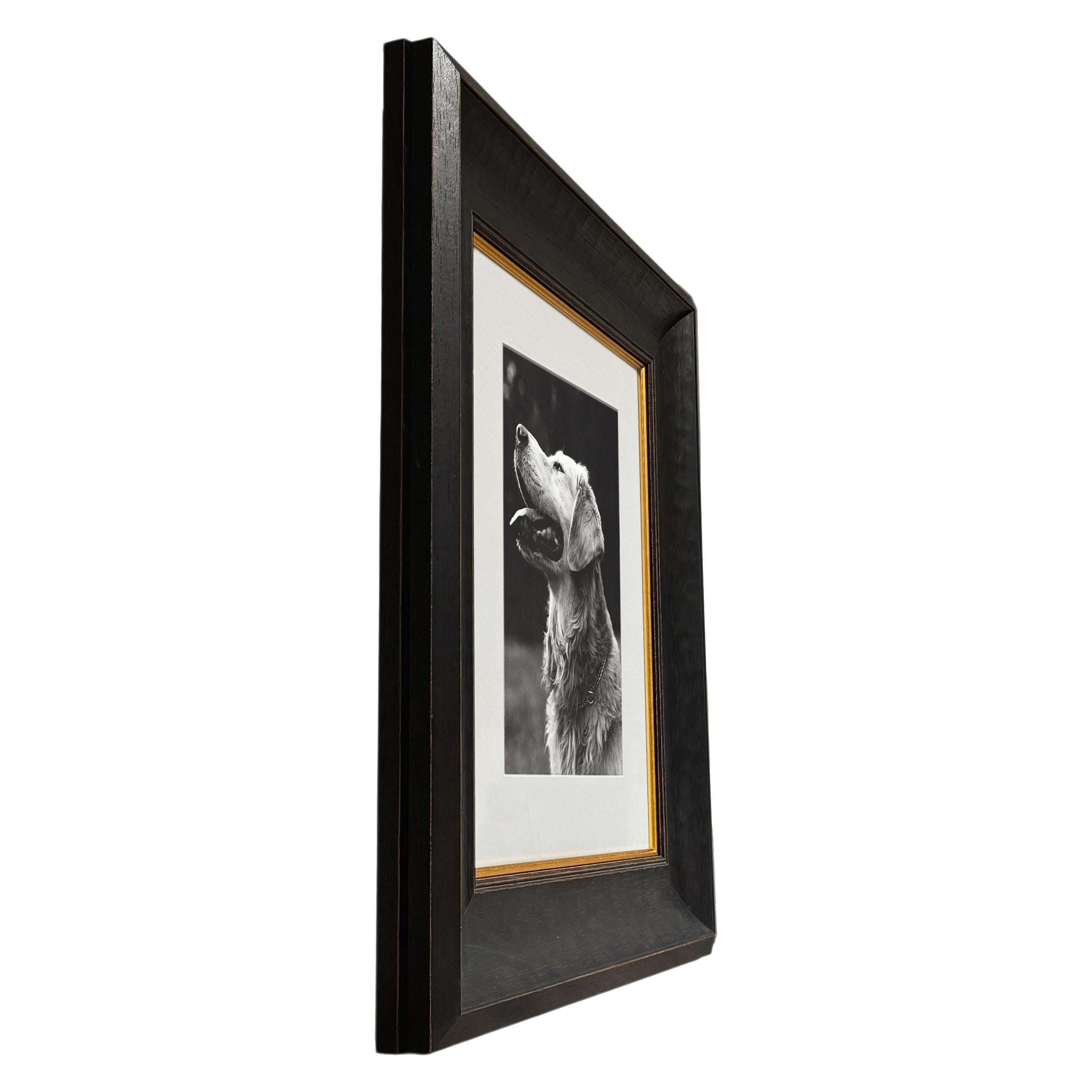 Américain Rowdy, une photographie encadrée de Bruce Weber en vente