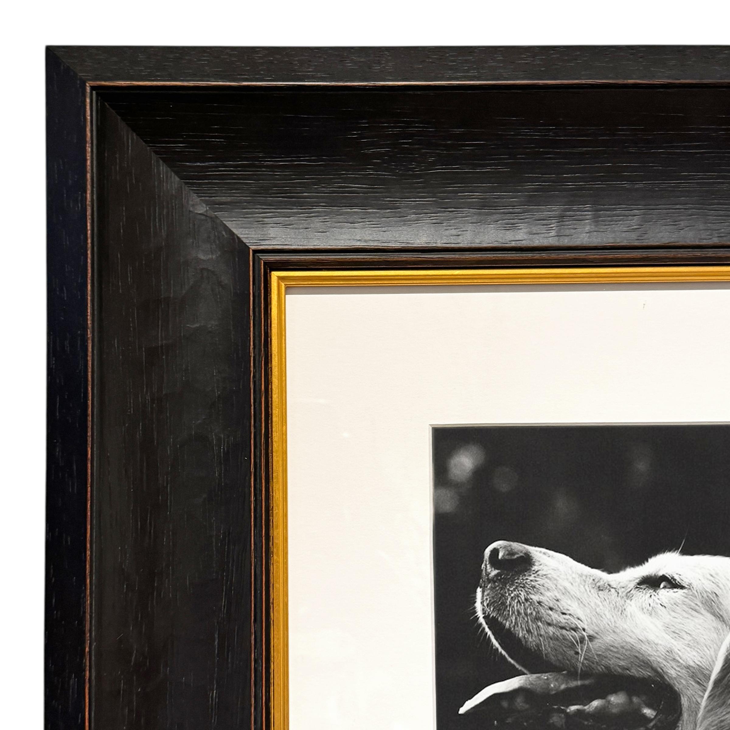 Fin du 20e siècle Rowdy, une photographie encadrée de Bruce Weber en vente