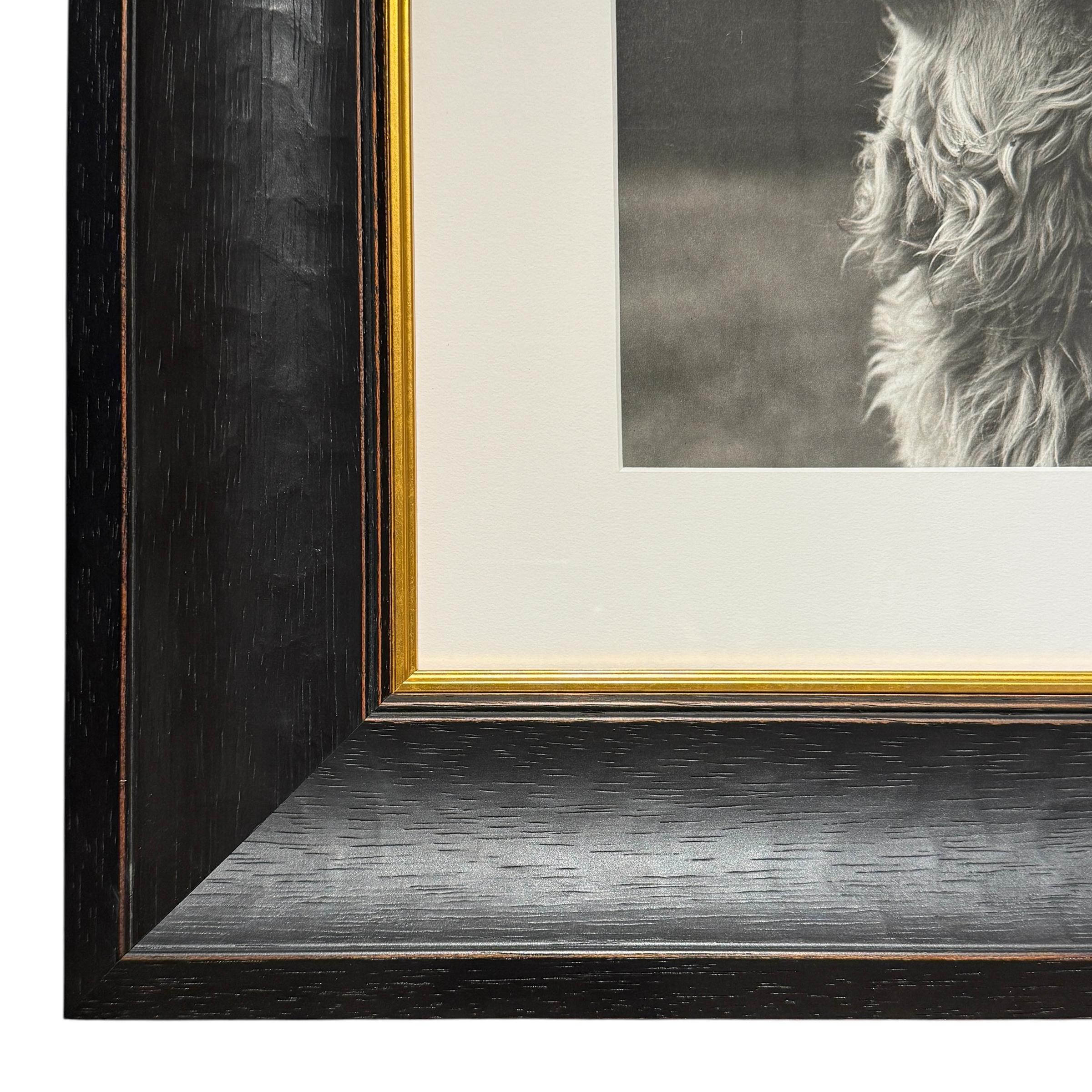 Bois Rowdy, une photographie encadrée de Bruce Weber en vente