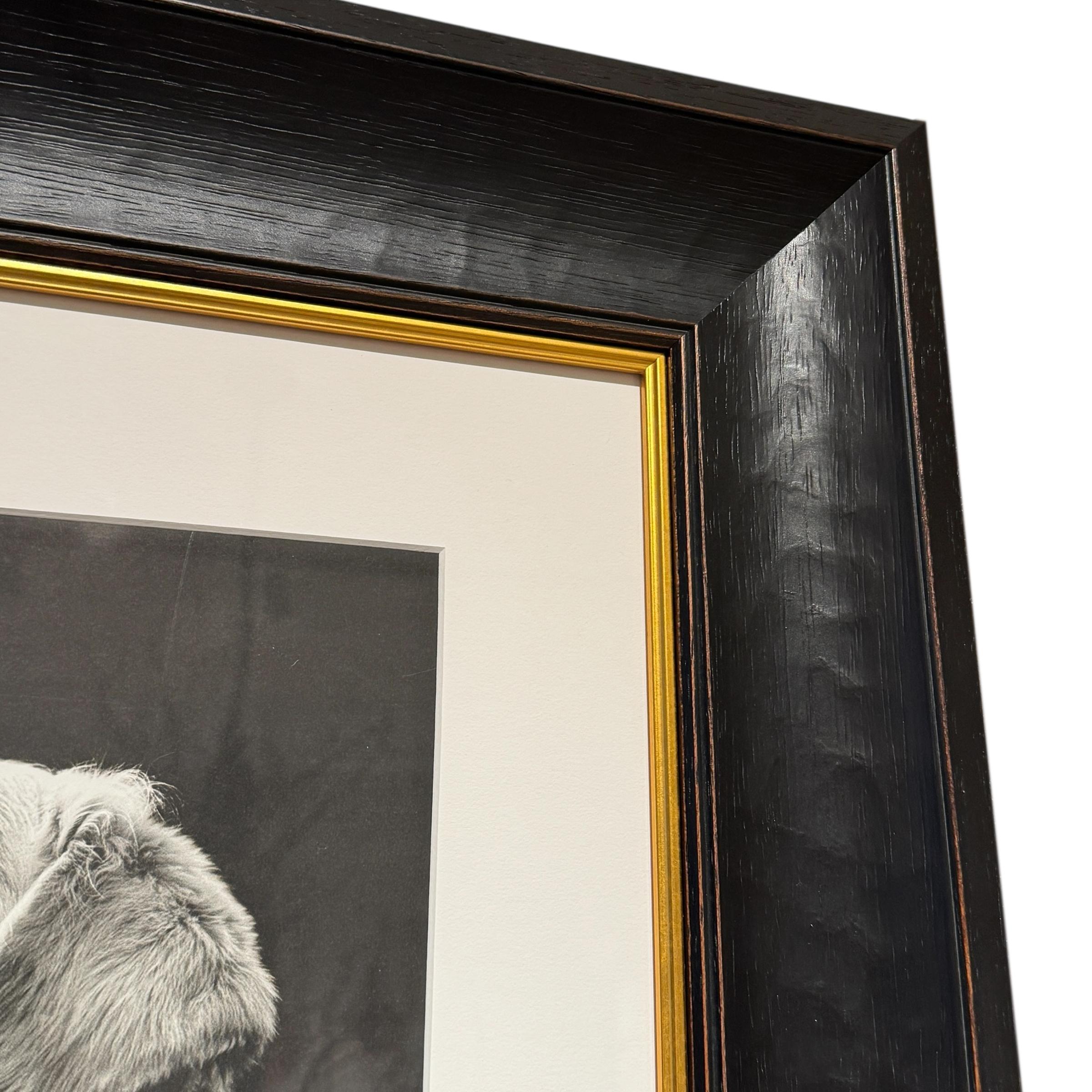 Rowdy, une photographie encadrée de Bruce Weber en vente 1