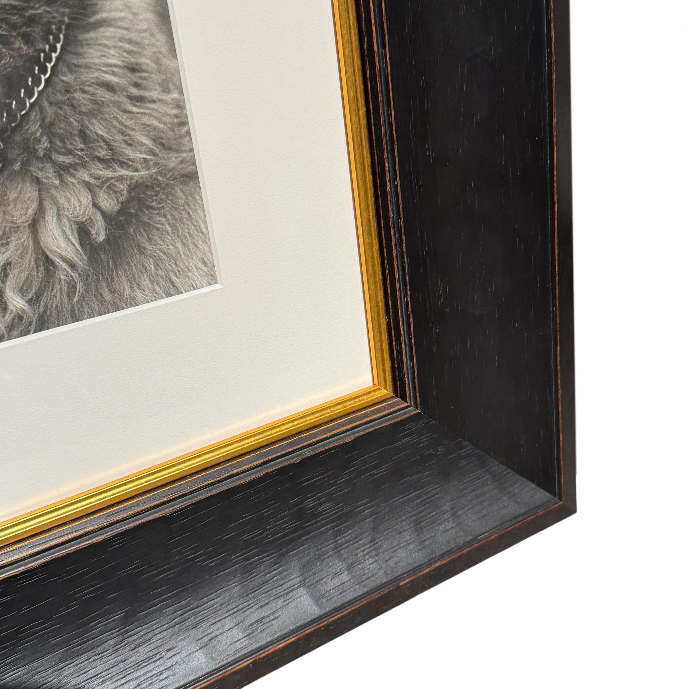Rowdy, une photographie encadrée de Bruce Weber en vente 2