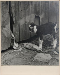 Something New, 1941 Signed Gelatin Silver Print by Rowena Fruth