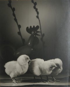 The Younger Generation, 1941 Gelatin Silver Print by Rowena Fruth