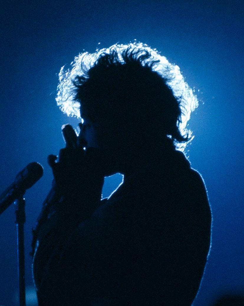 Rowland Scherman Color Photograph - Bob Dylan, 1965