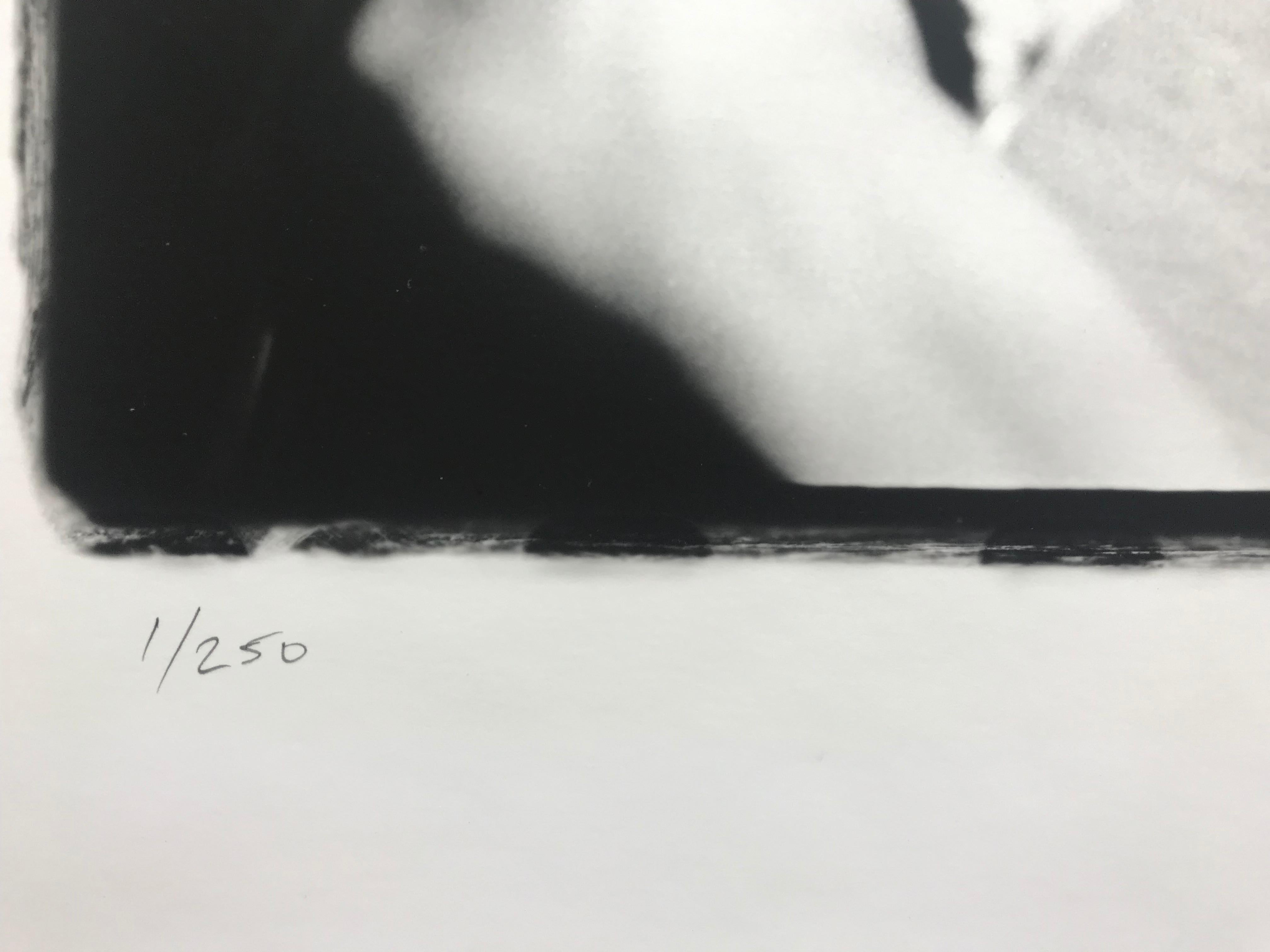 Bob Dylan auf dem Newport Folk Festival (Zeitgenössisch), Photograph, von Rowland Scherman