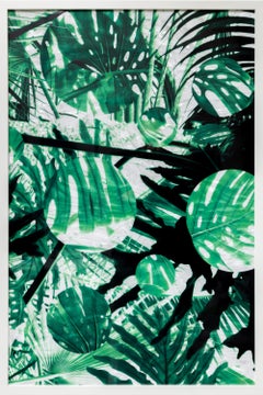 « Greenhouse Composition 36x24 Série 01 », reproduction encadrée « Green Leaf Botanical »