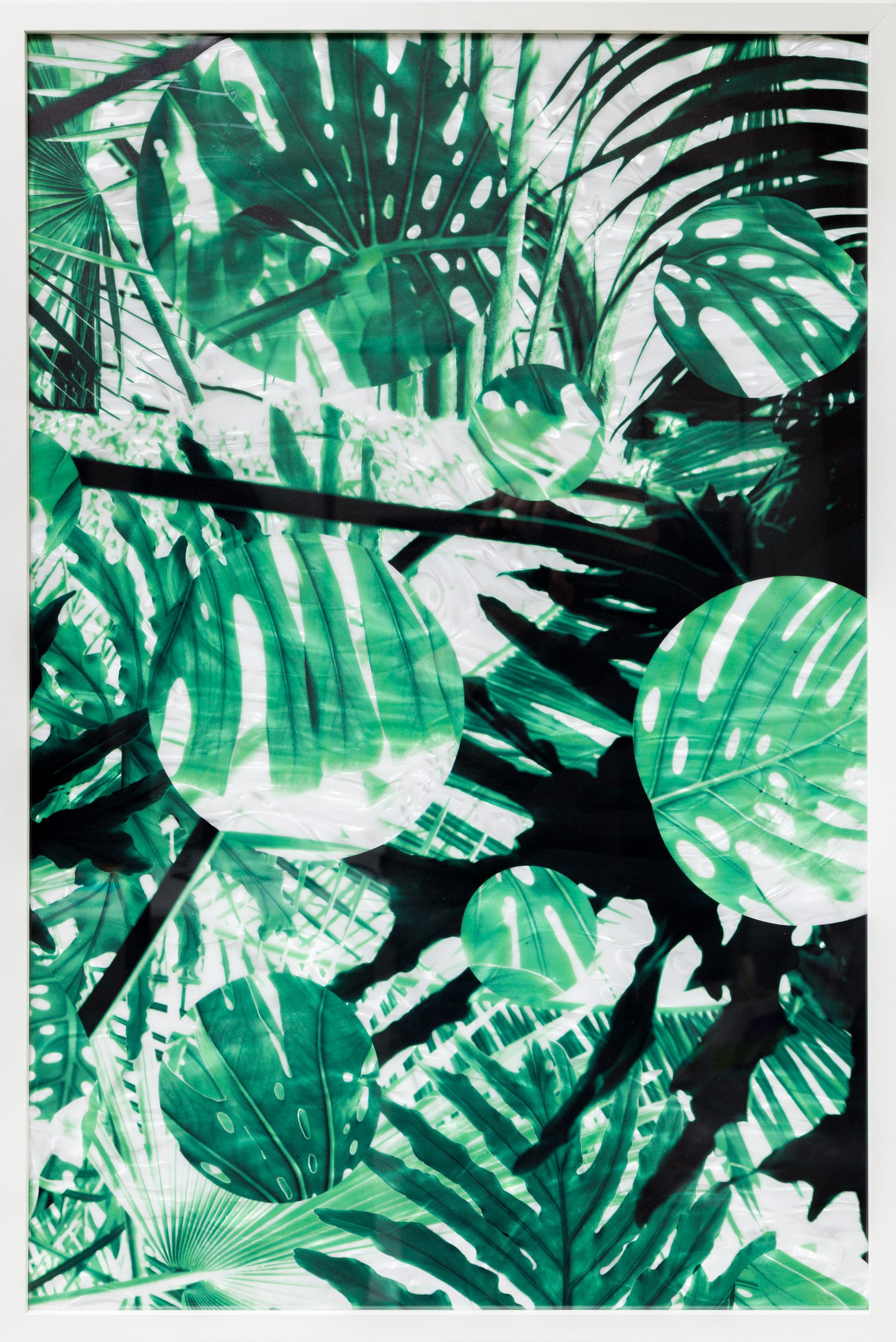 "Greenhouse Composition 36x24 Series 01", Green Leaf Botanical Framed Print