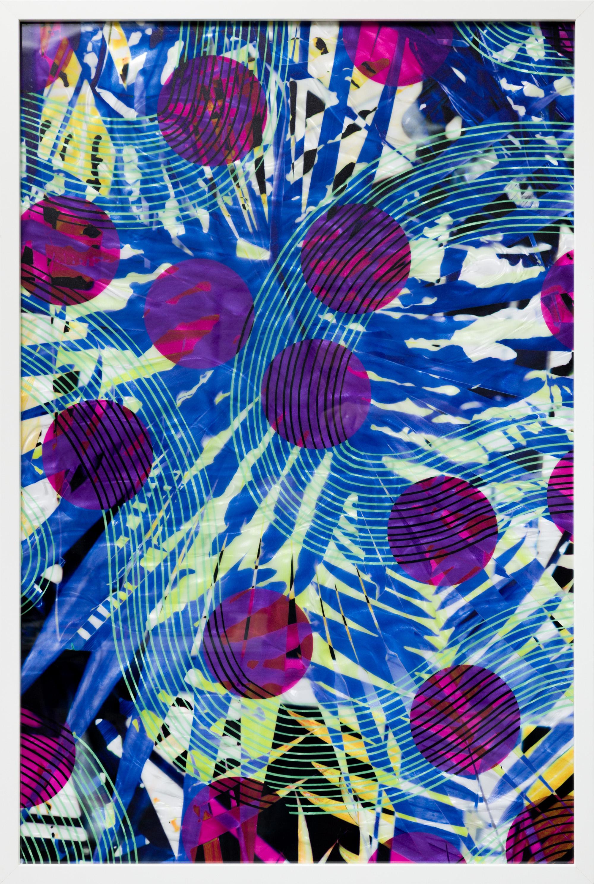 Abstract Photograph de Roxana Azar - «Composición de invernadero 36x24, serie 05», composición botánica abstracta