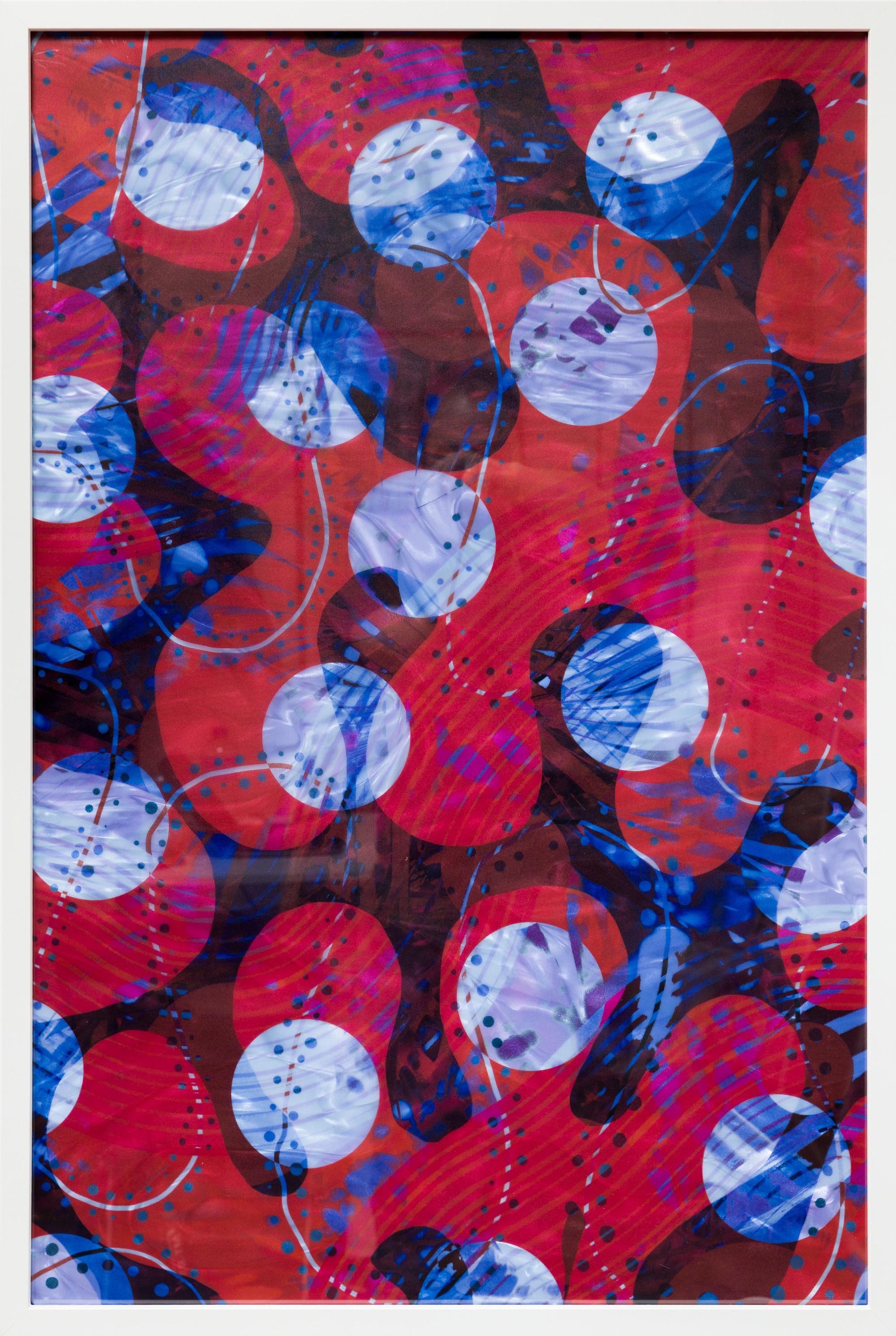 Roxana Azar Abstract Photograph - "Greenhouse Composition 36x24 Series 10", Red Abstract Organic Composition
