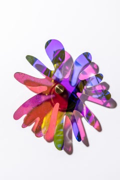 Cornflower series 6