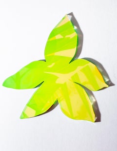 Orchid Star Figurative Sculpture, UV Print on Acrylic, 21st Century