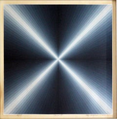 Roy Ahlgren Concerto 1977 Firmato Serigrafia Moderna 56/65 Incorniciato