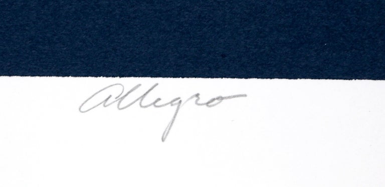 Allegro, Op Art Serigraph by Roy Ahlgren For Sale 2