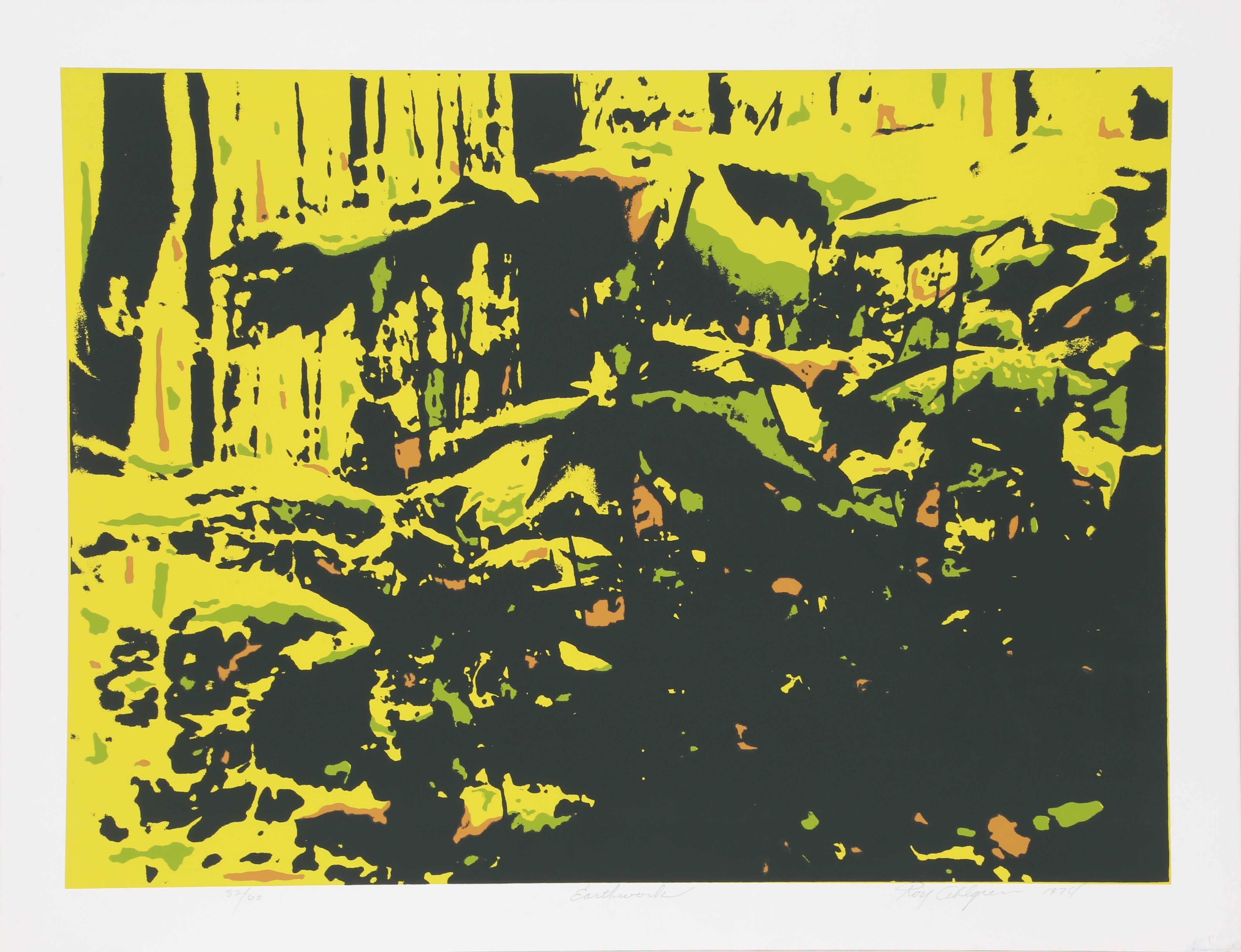Artist: Roy Ahlgren, American (1927 - 2011)
Title: Earthwork
Year: 1974
Medium: Serigraph, signed and numbered in pencil
Edition: 60
Image Size: 17 x 23 inches
Size: 20 x 26 in. (50.8 x 66.04 cm)