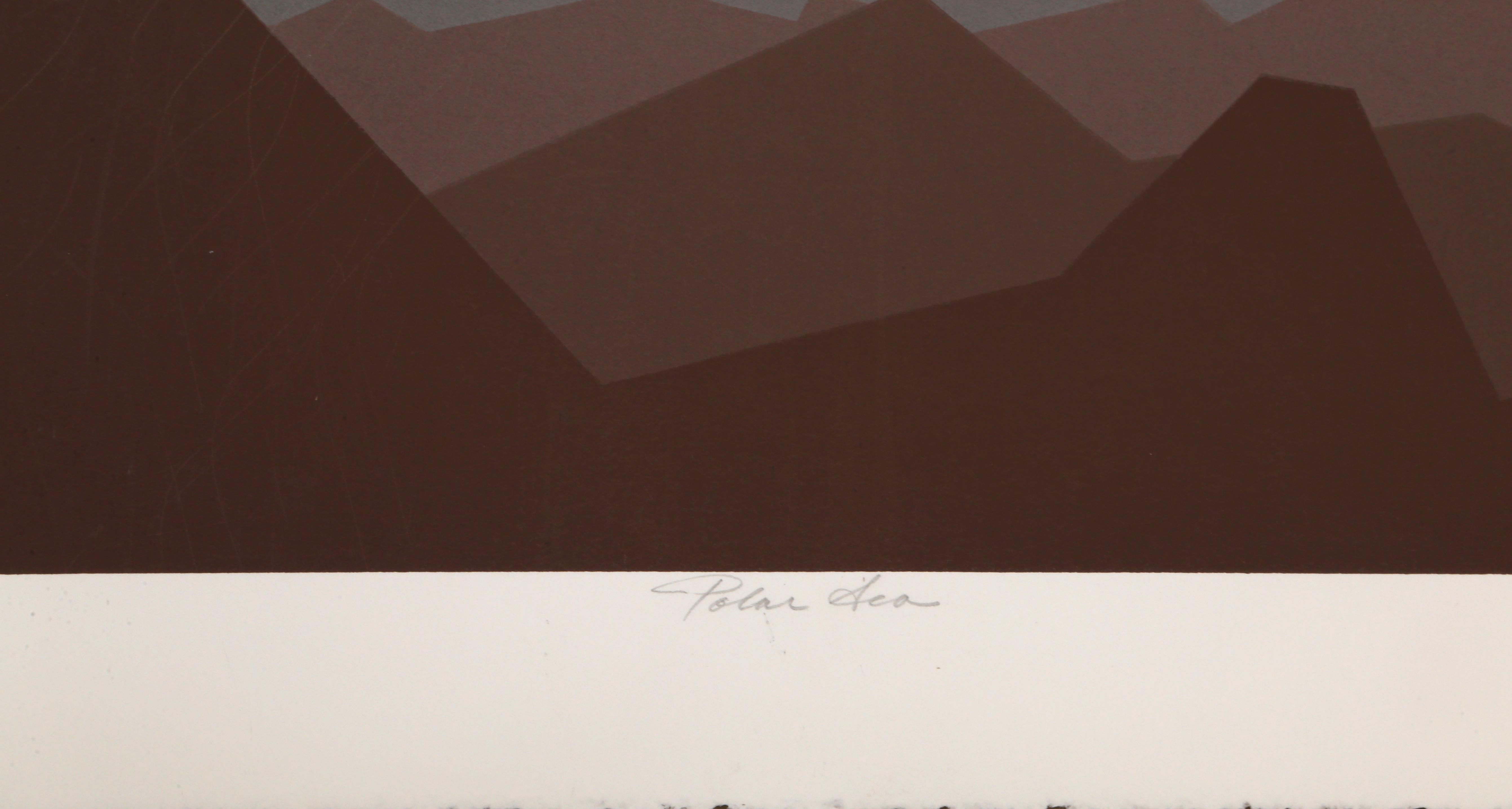 Polar Sea, Op Art Screenprint by Roy Ahlgren For Sale 1