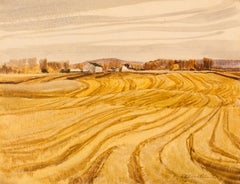 November Corn Fields