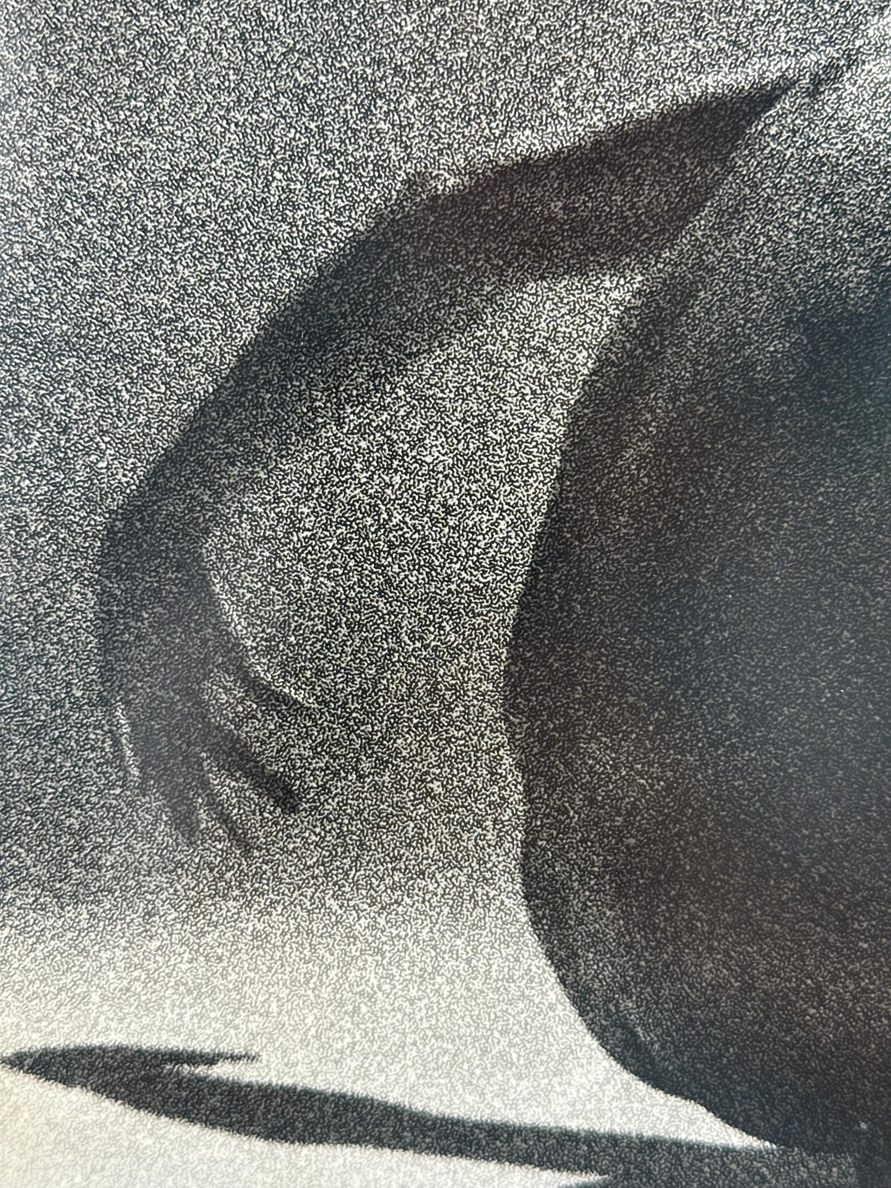 Portrait of Black Dancer (male nude) Grainy version - Realist Photograph by Roy Blakey