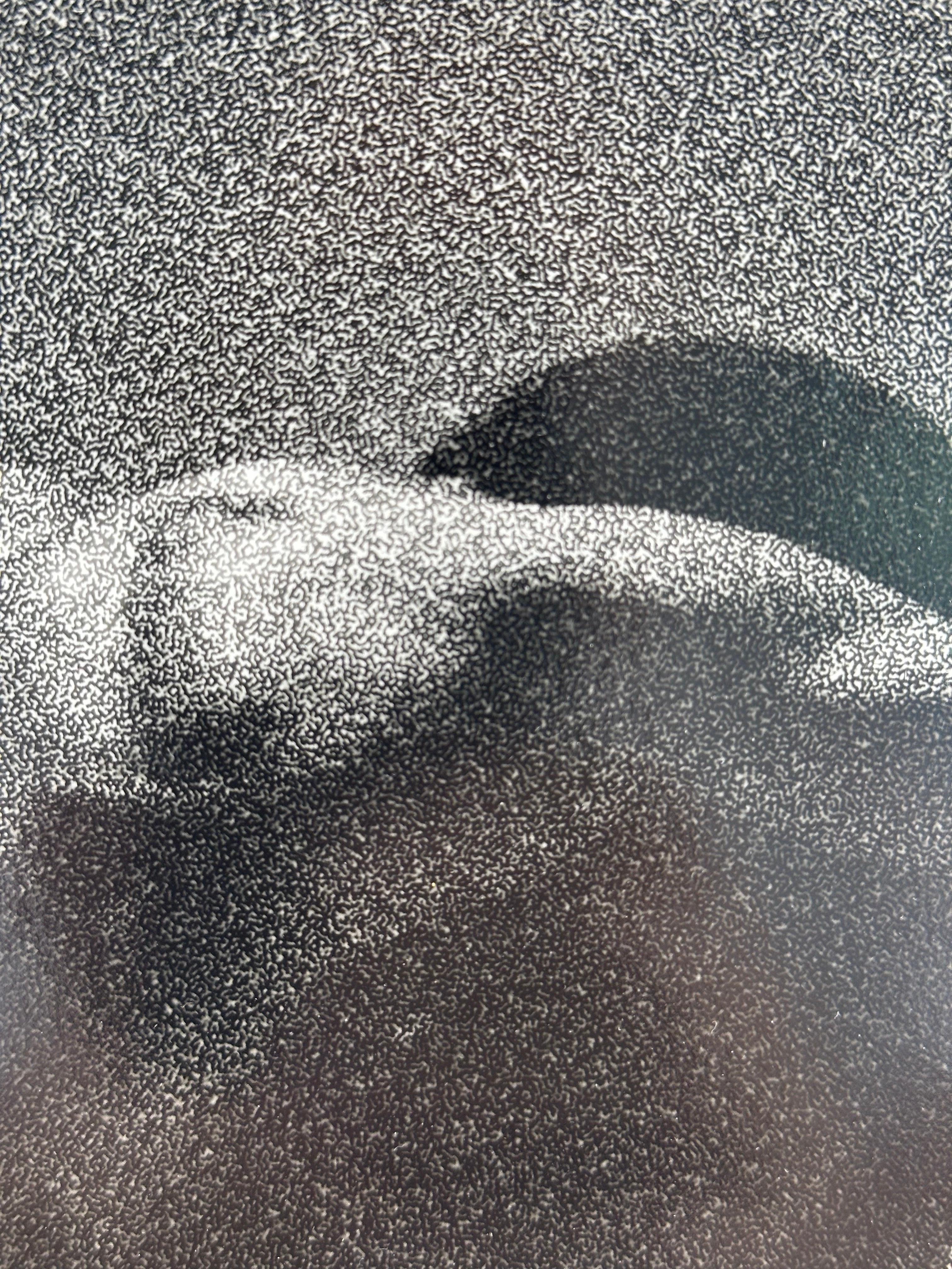 Portrait of Black Dancer (male nude) Grainy version For Sale 1
