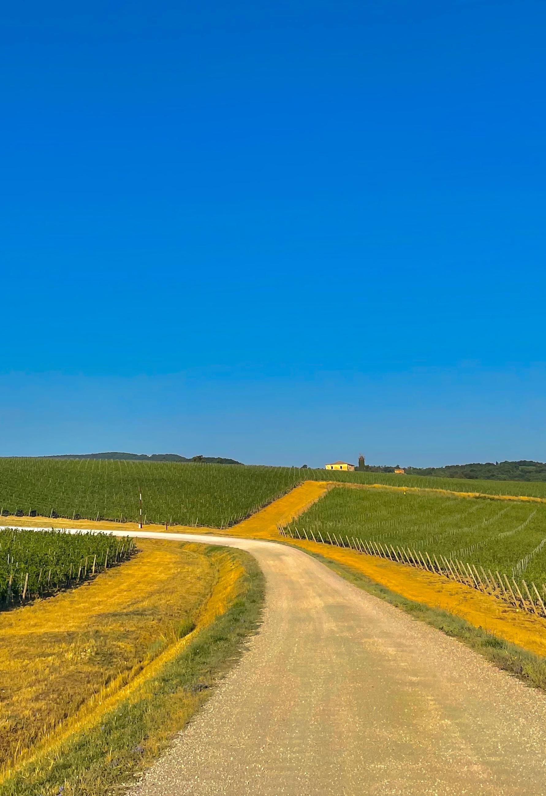Paysage toscan - photographies couleur, photographies de paysages - Photograph de Roy Dagan