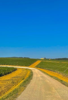 Tuscan landscape - color photography, landscape photography