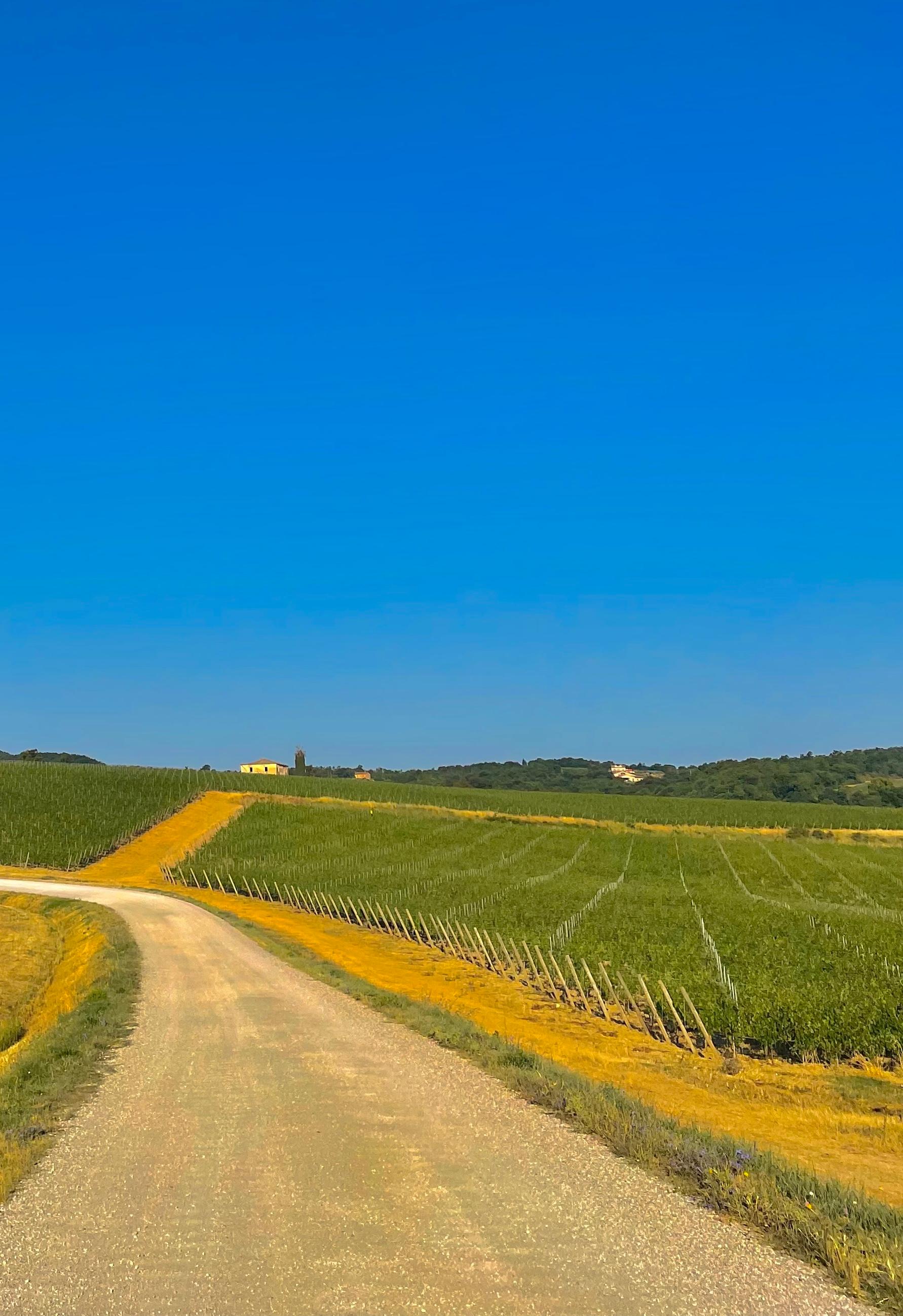 Paysage toscan - photographies couleur, photographies de paysages - Contemporain Photograph par Roy Dagan