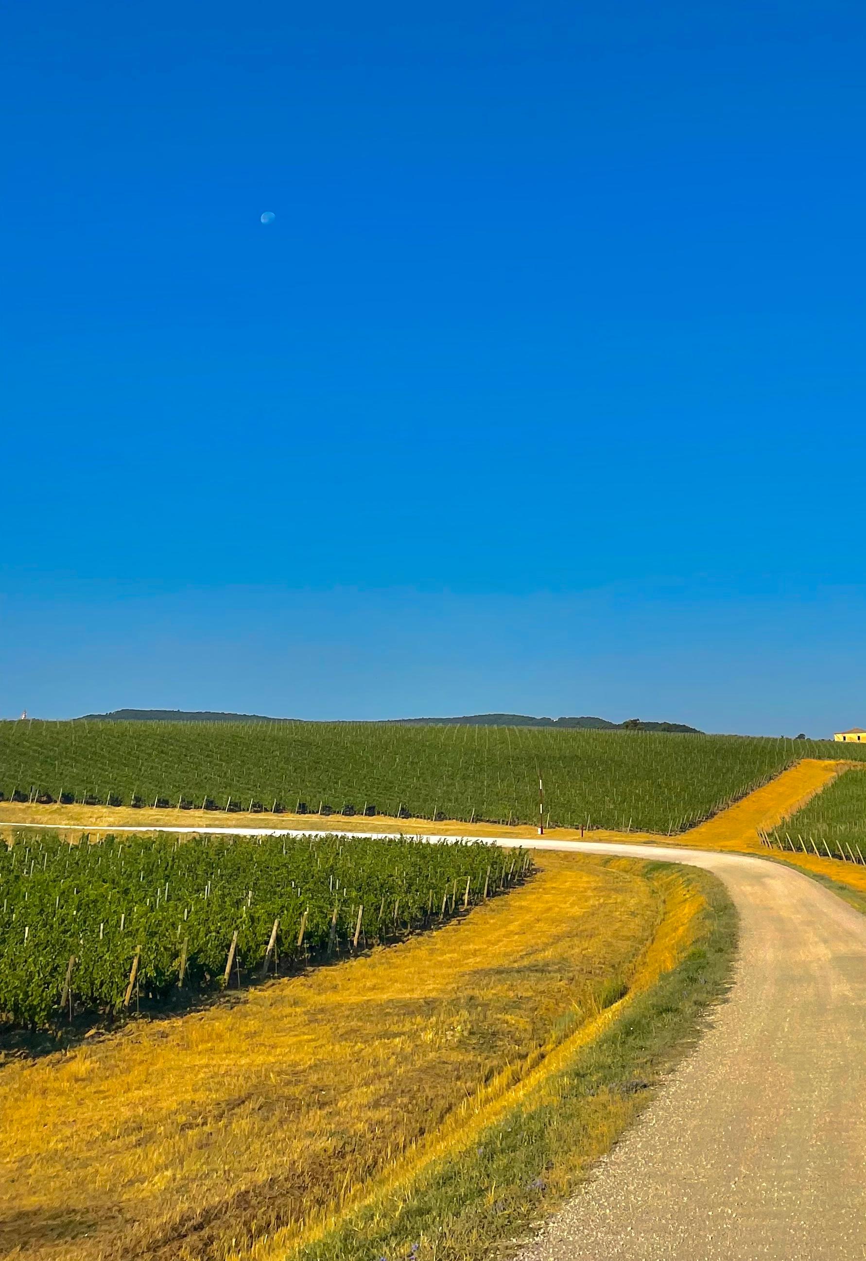 Paysage toscan - photographies couleur, photographies de paysages - Bleu Landscape Photograph par Roy Dagan