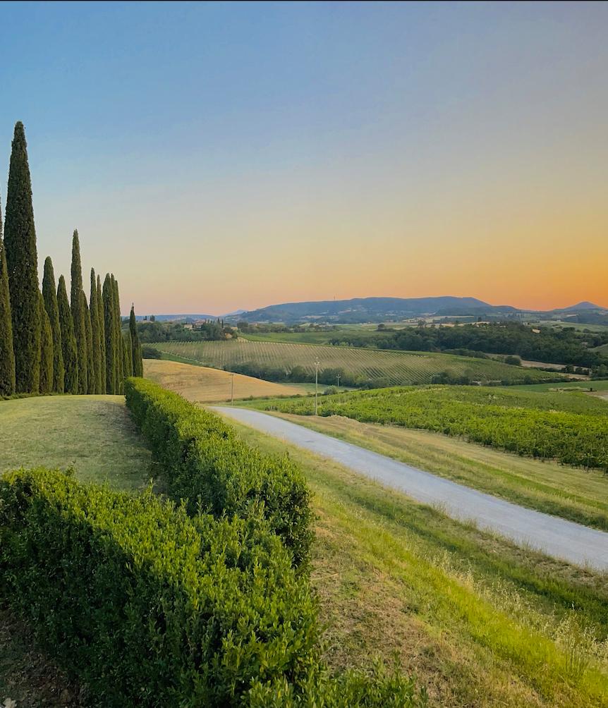 Tuscany my love - color photography, landscape photography - Photograph by Roy Dagan