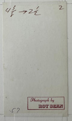 Male Nude Beach Study