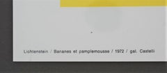 "Bananas and Grapefruit" 1972 Mailer for Castelli Gallery