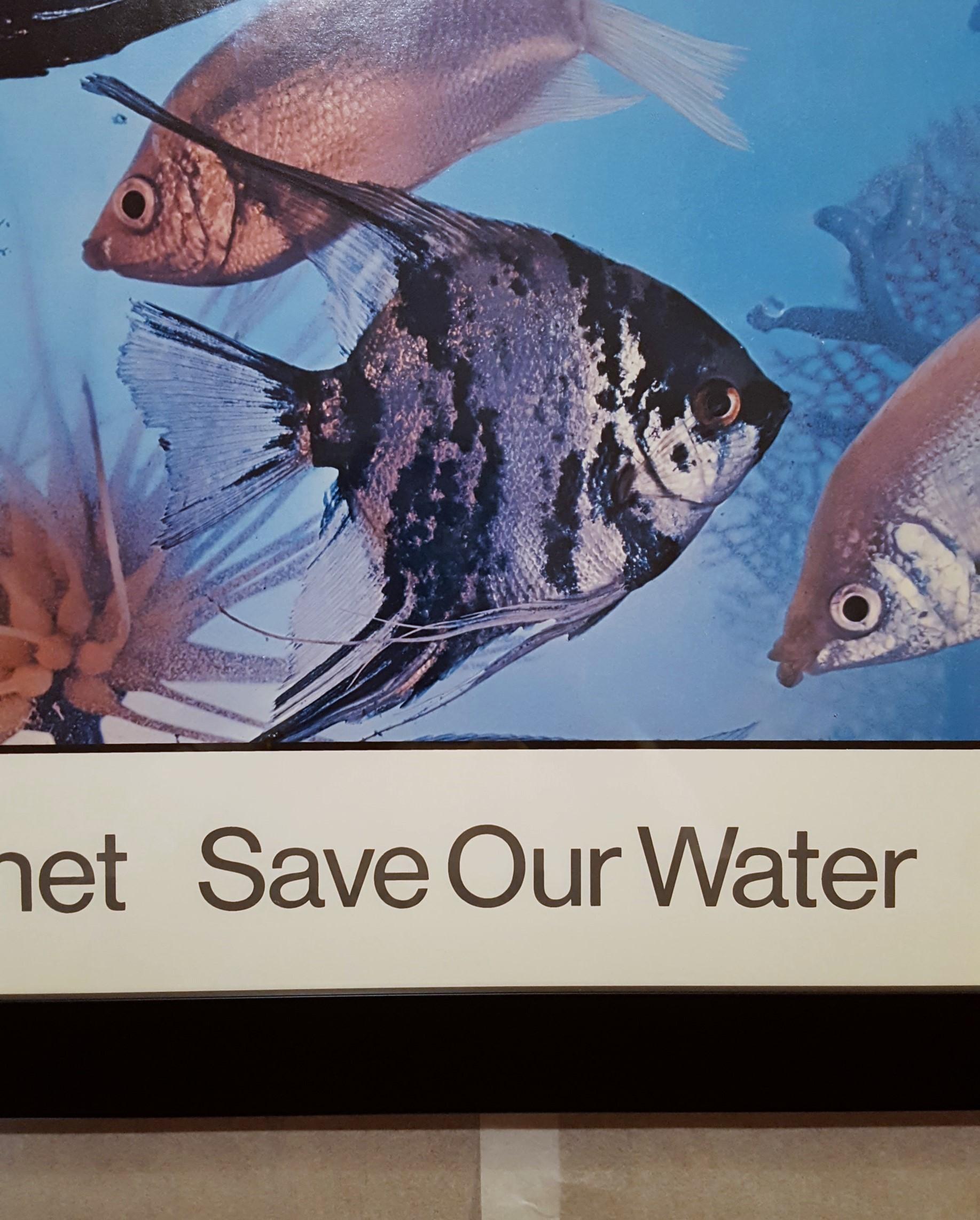 Save Our Planet Save Our Water 11