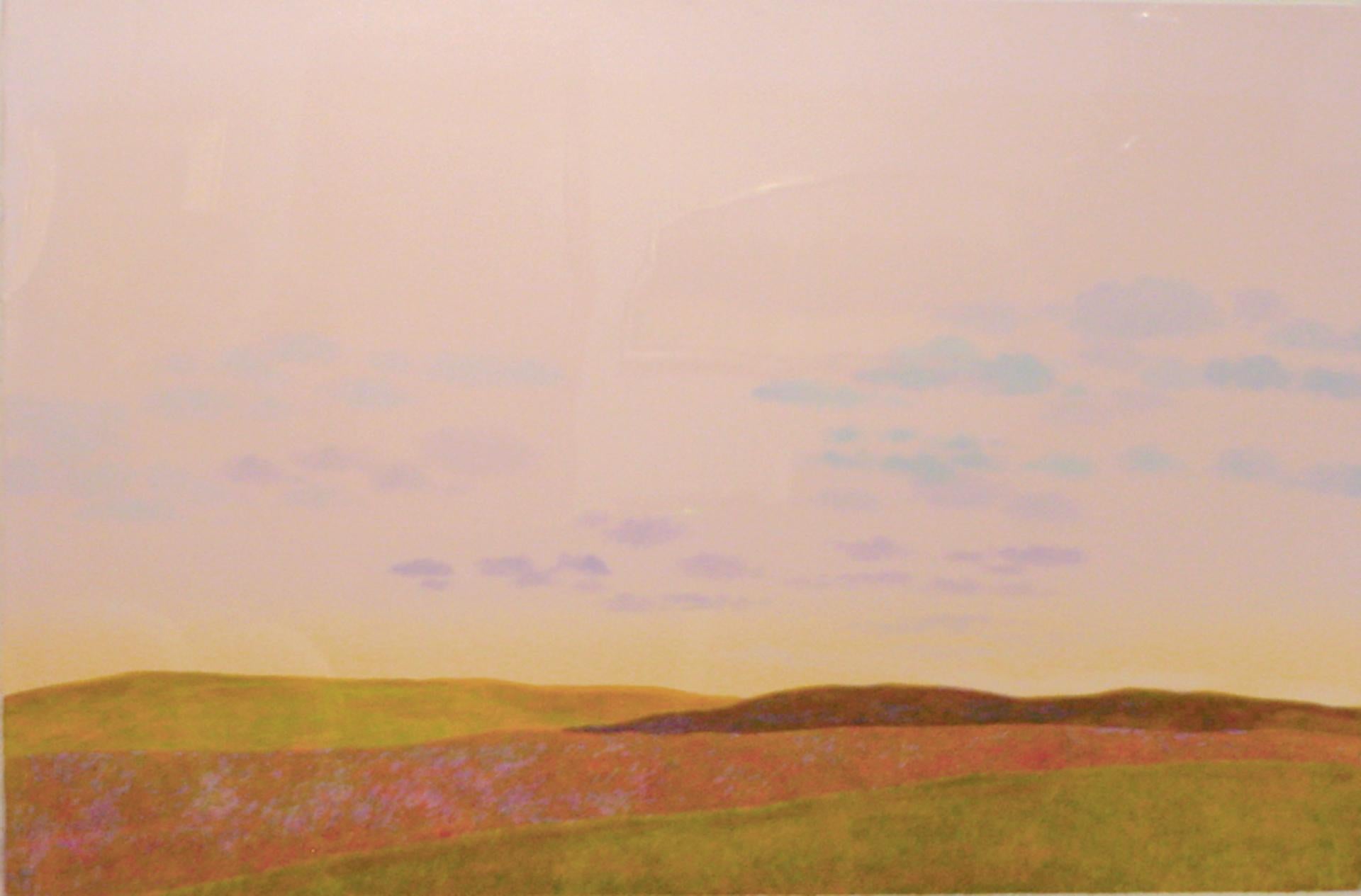 Perché è primavera 48x56