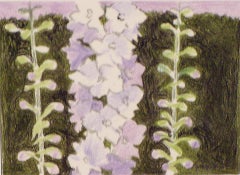 Delph III, étude au pastel non encadrée