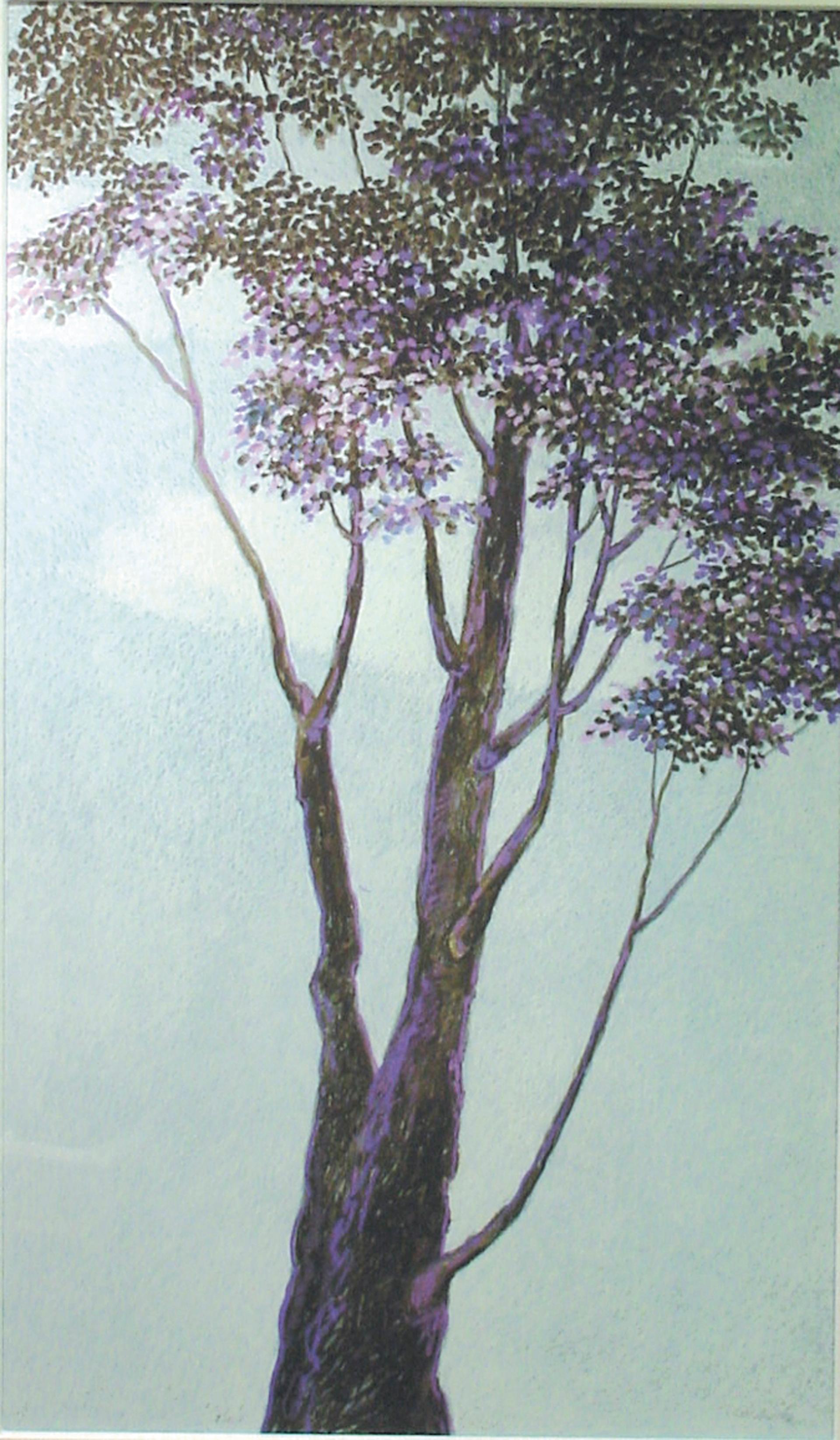 John's Tree, pastello a olio incorniciato di 47x33