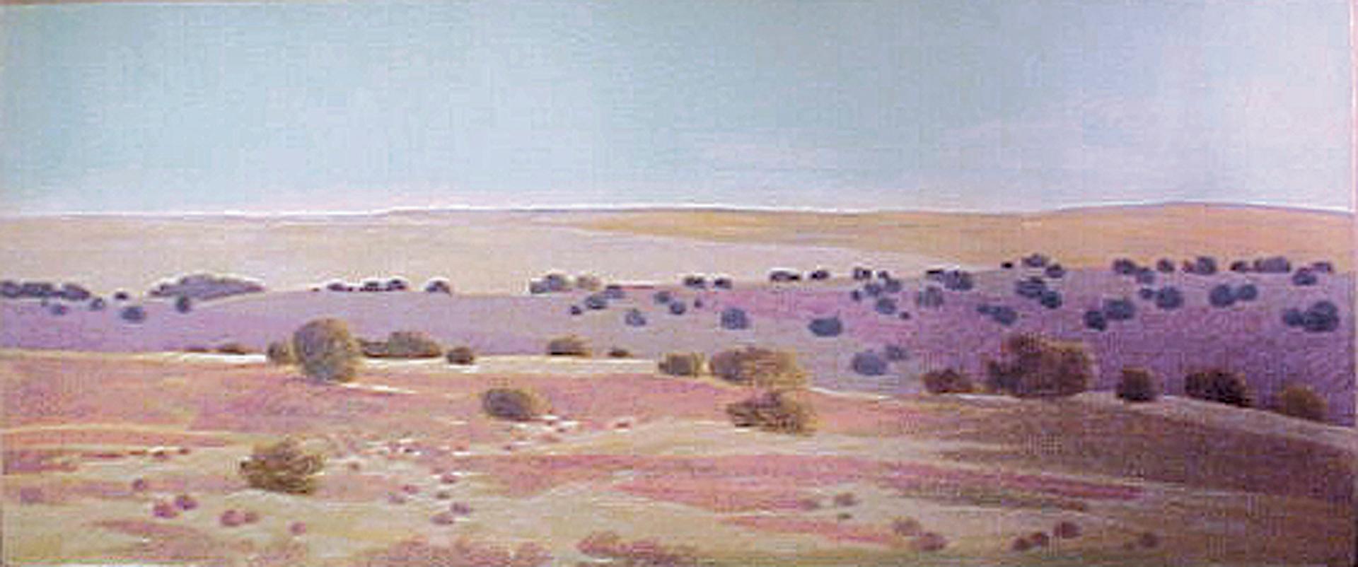 Lavender Hills 30x54