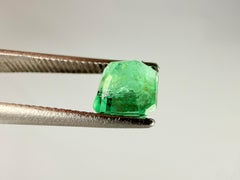 Royal Antwerp Gem GRA Certified Natural Emerald 0.75 Ct Cut Cornered Square Step