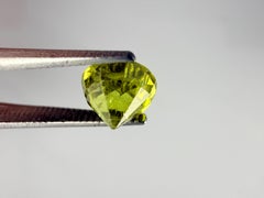 Royal Antwerp Gem Natural Grossular-Andradite Garnet 1.41 Ct Round Mixed Cut Cer