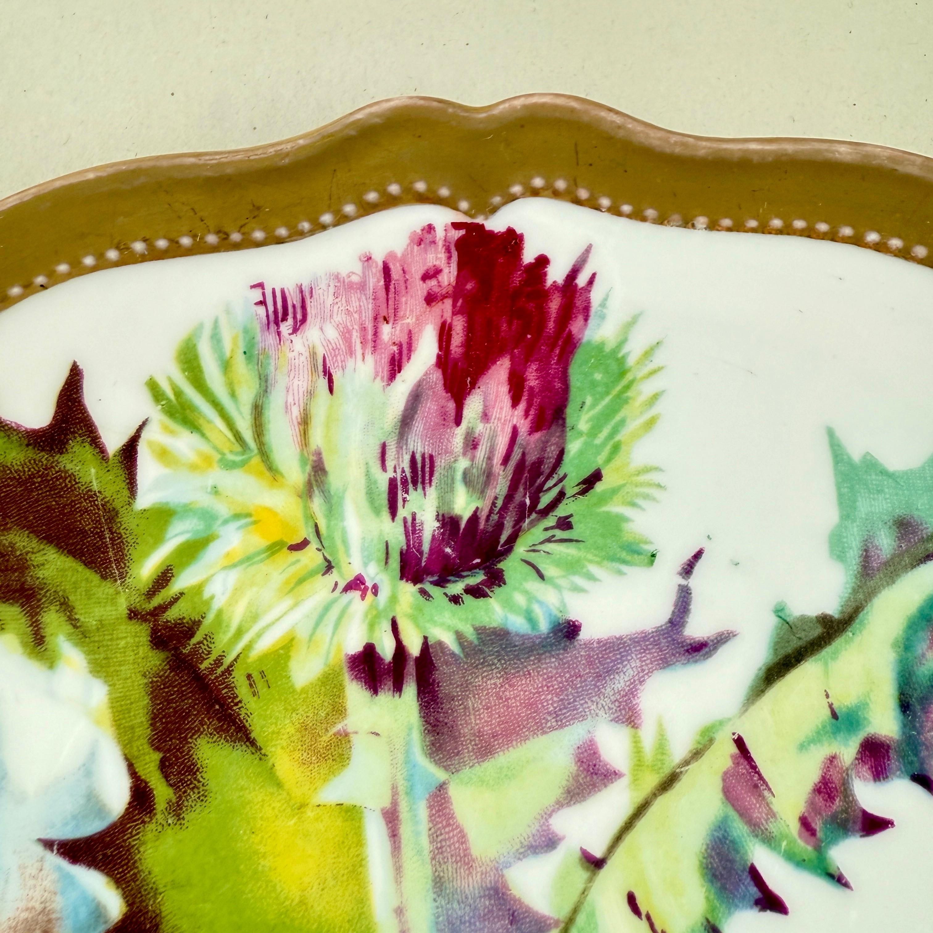 19th Century Royal Austria Porcelain Hand Painted Thistle Wall Plate, signed For Sale