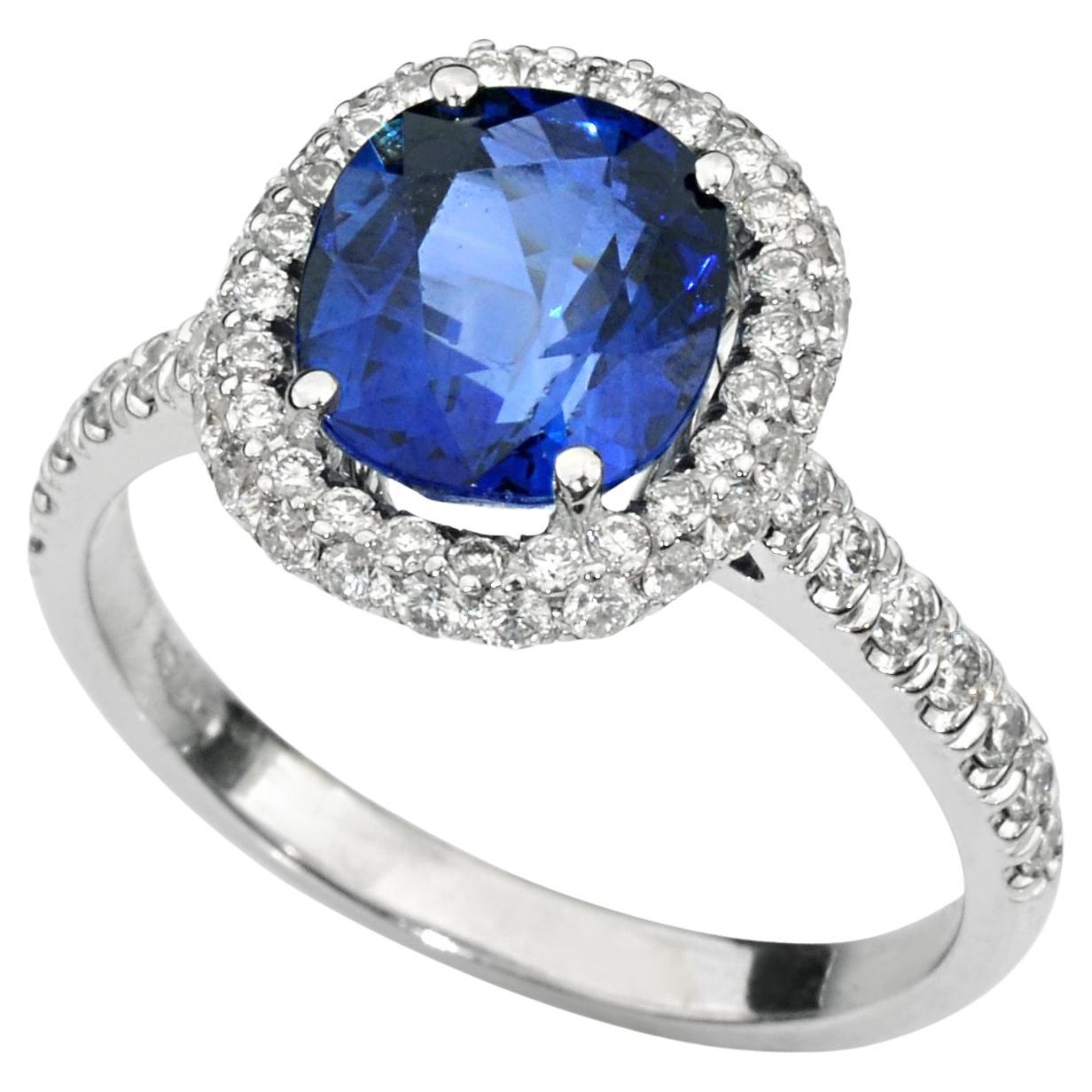 Royal Blue Sapphire & Diamond Halo Ring aus 18K Weißgold