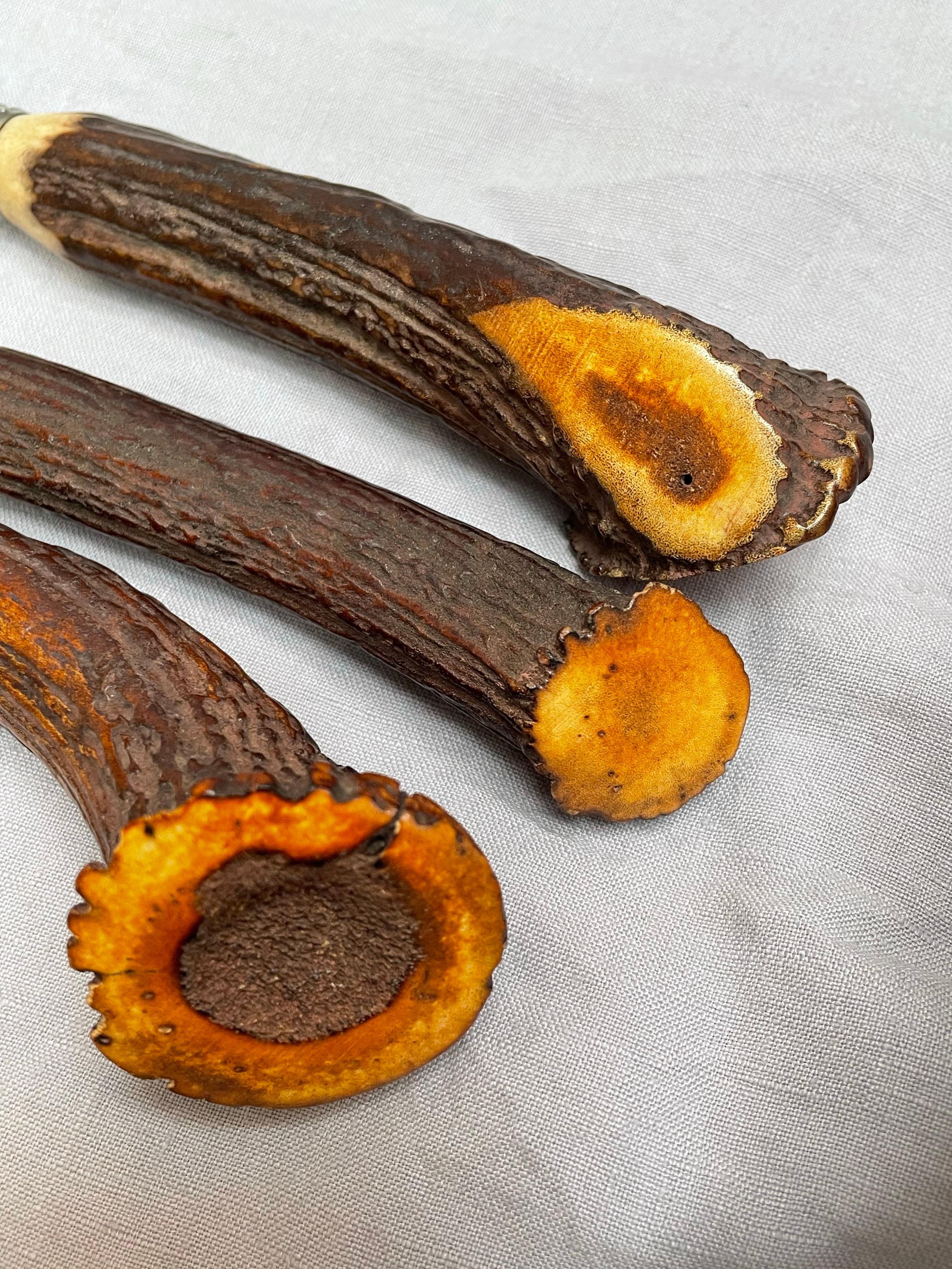 Juego de trinchar de tres piezas con asas de ciervo auténtico de Royal Brand Sheffield England en venta 2