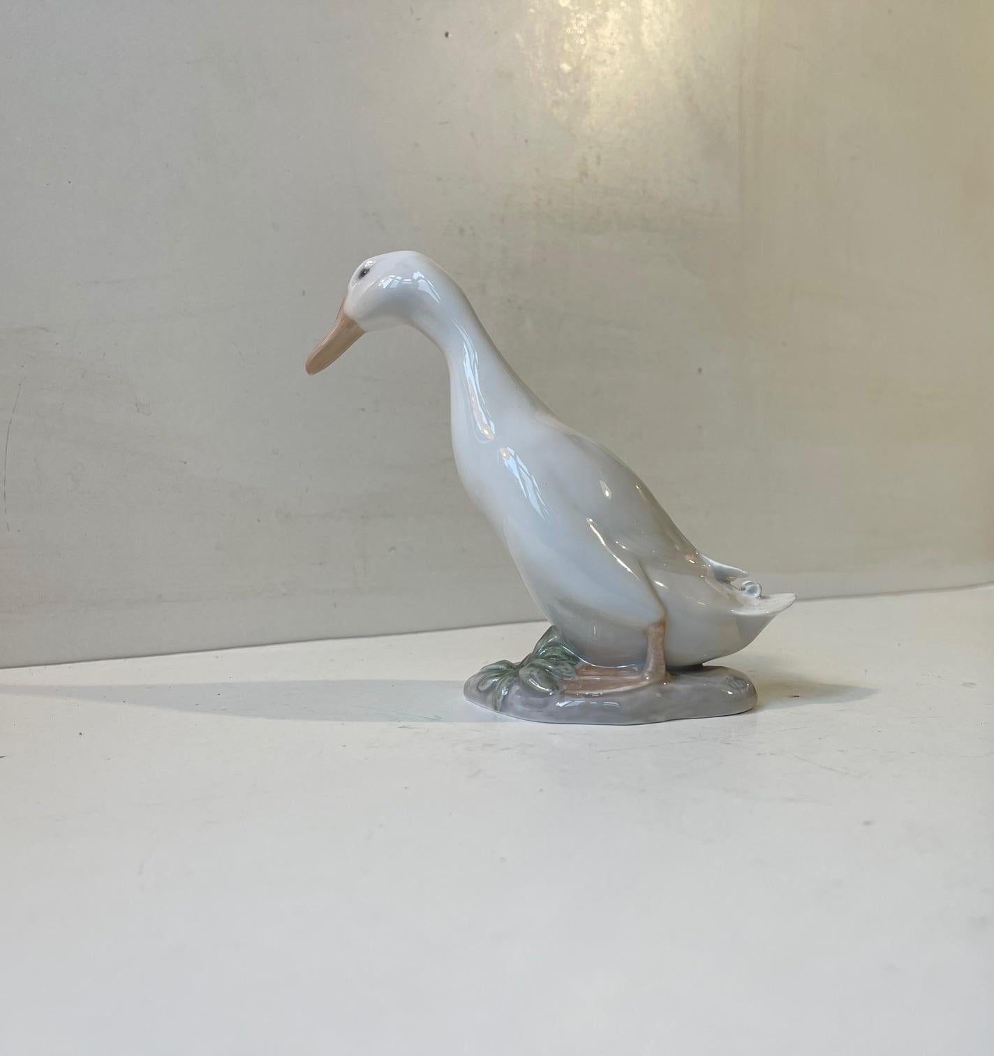 A rare white duck/drake porcelain figurine designed by Olaf Mathiesen from 1915-20. This one dessin nr. 2122 is clean, crips and intact. Fully marked, signed and made at Royal Copenhagen in Denmark in 1940.  

Measurements: H:14/15cm, Dept 11 cm.