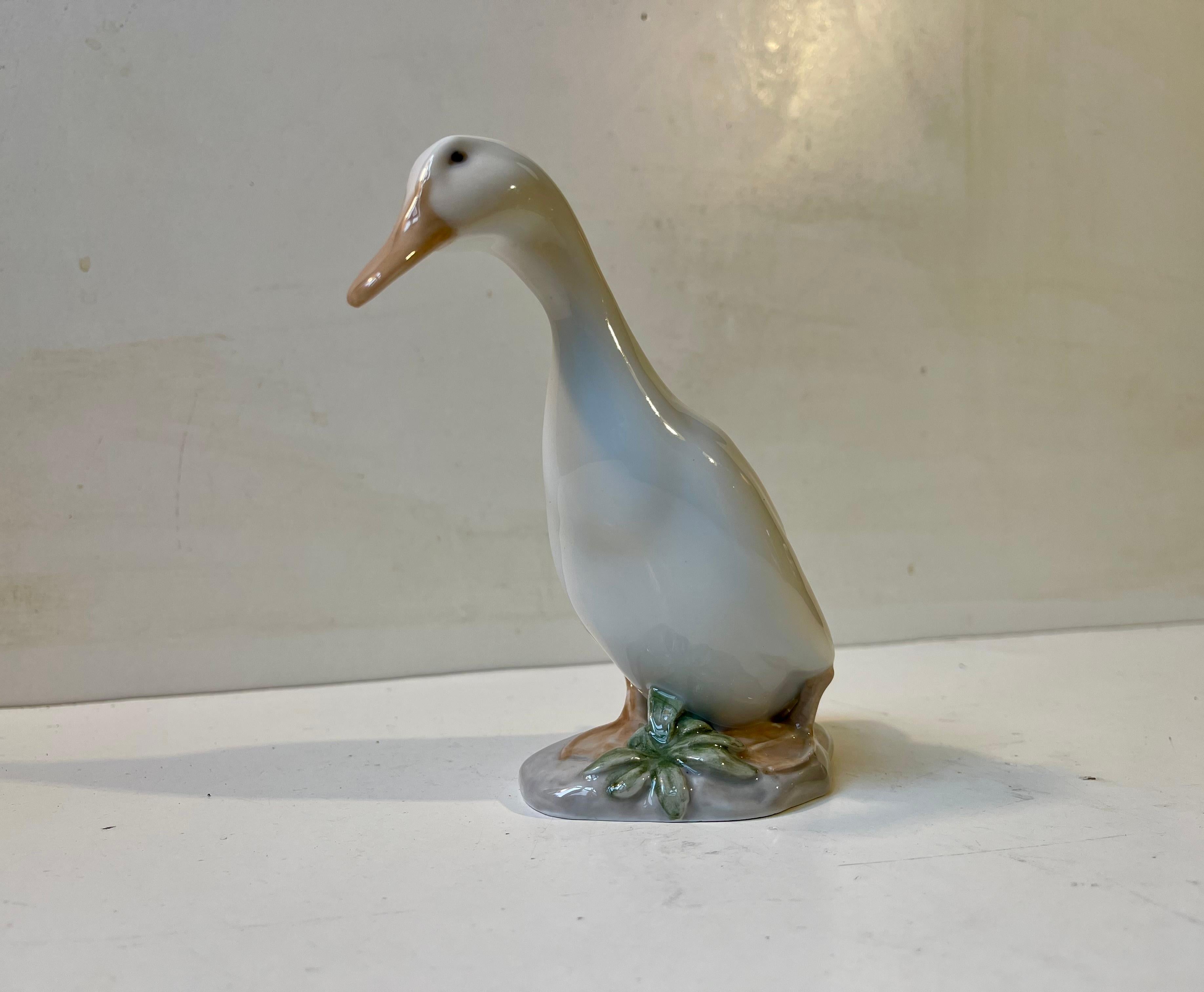 Danish Royal Copenhagen Antique White Duck - Drake Figurine in Glazed Porcelain