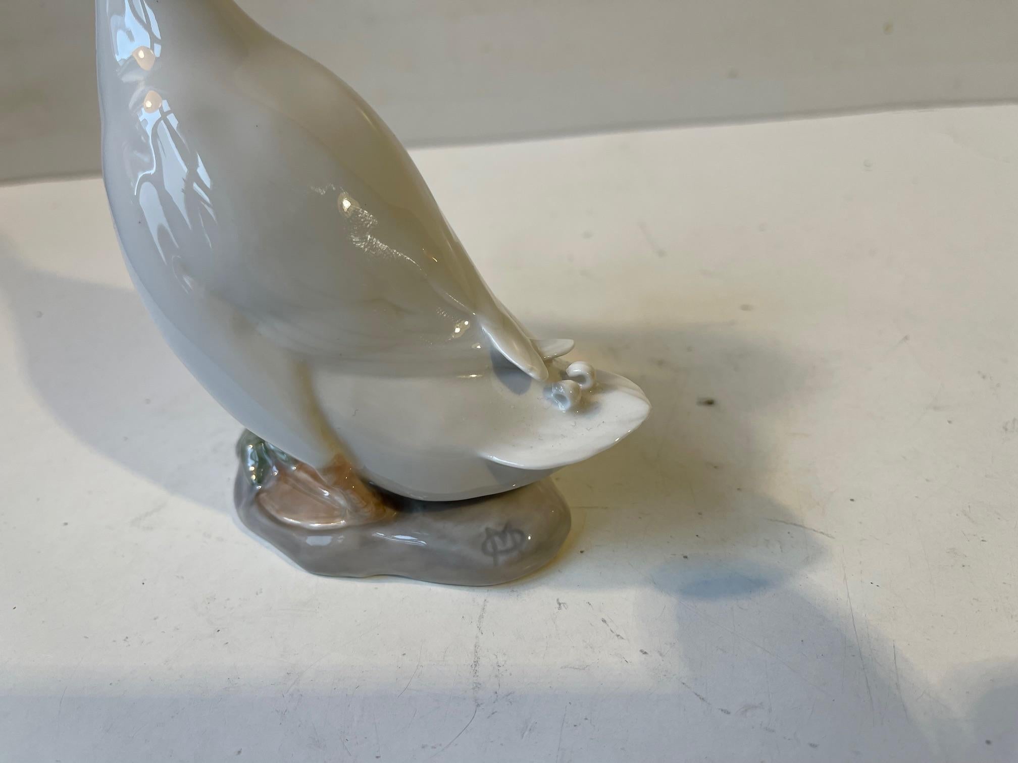 Early 20th Century Royal Copenhagen Antique White Duck - Drake Figurine in Glazed Porcelain