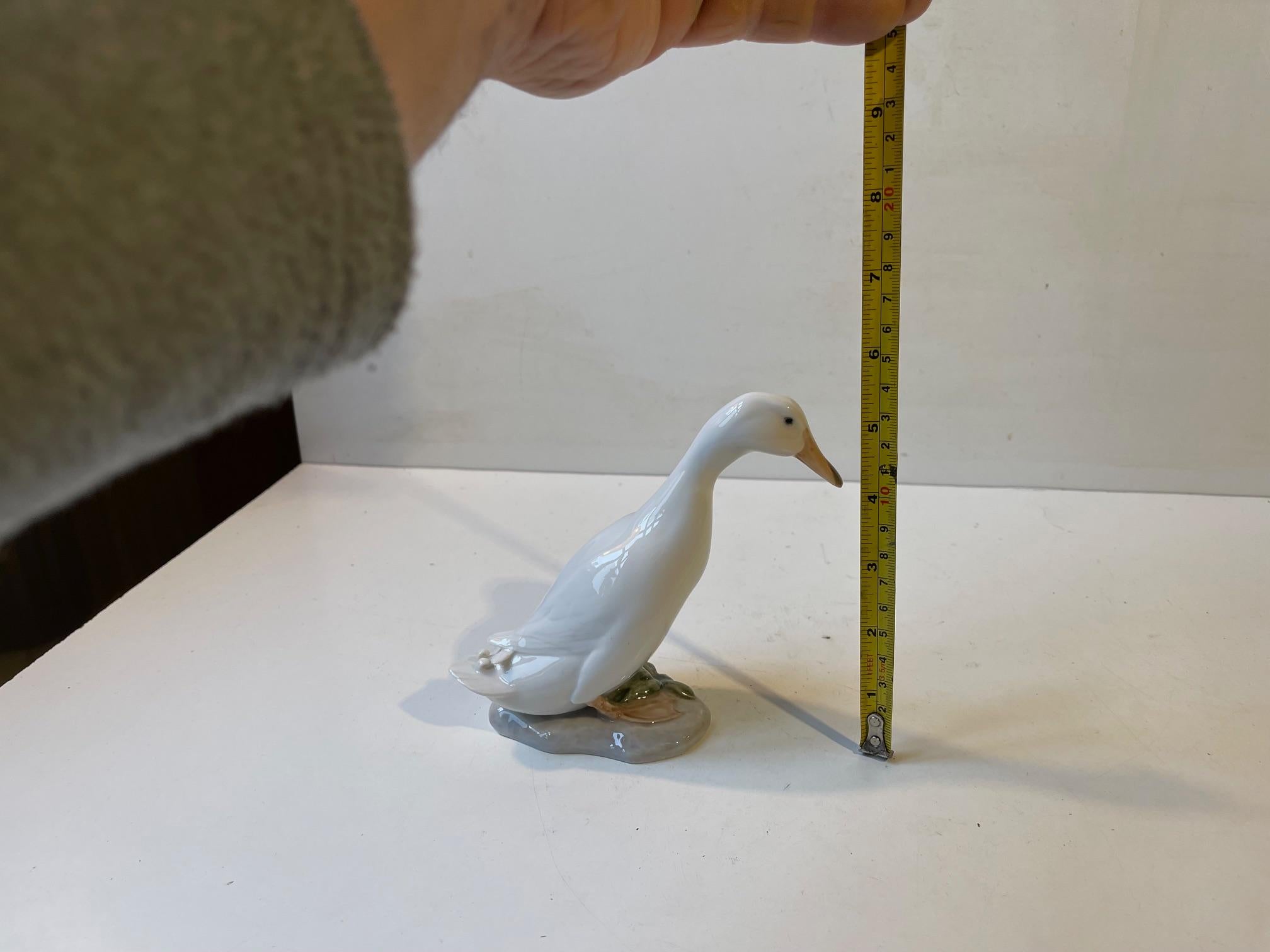 Royal Copenhagen Antique White Duck - Drake Figurine in Glazed Porcelain 1