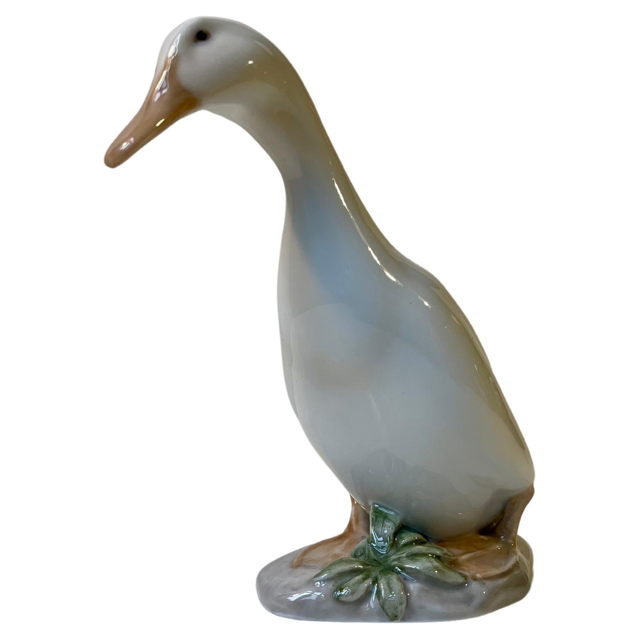 Royal Copenhagen Antique White Duck - Drake Figurine in Glazed Porcelain
