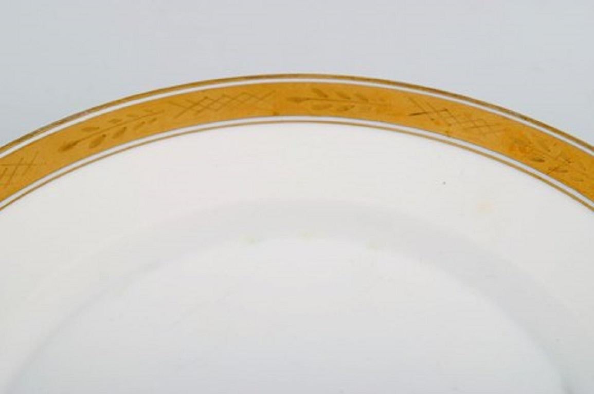 gold edged plates