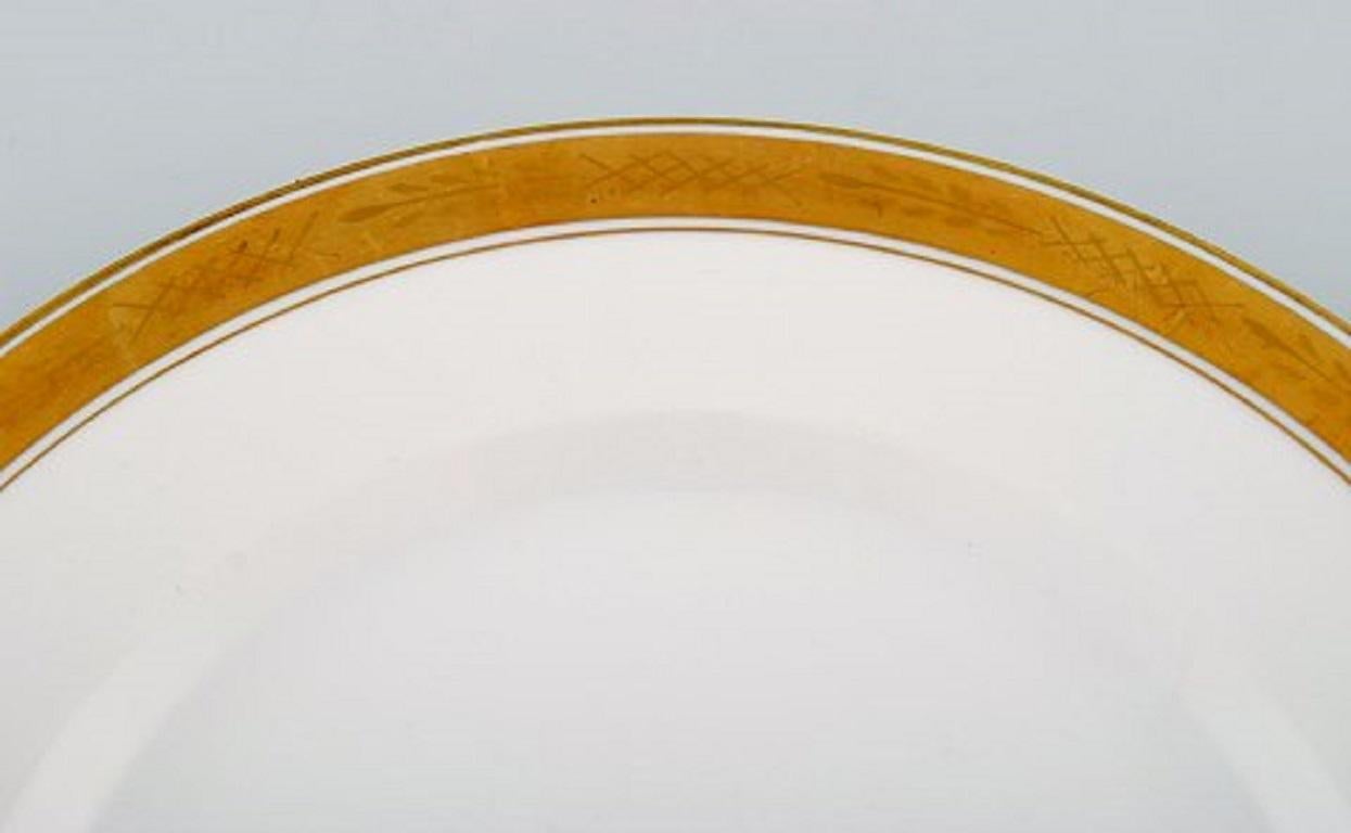 gold edge plates