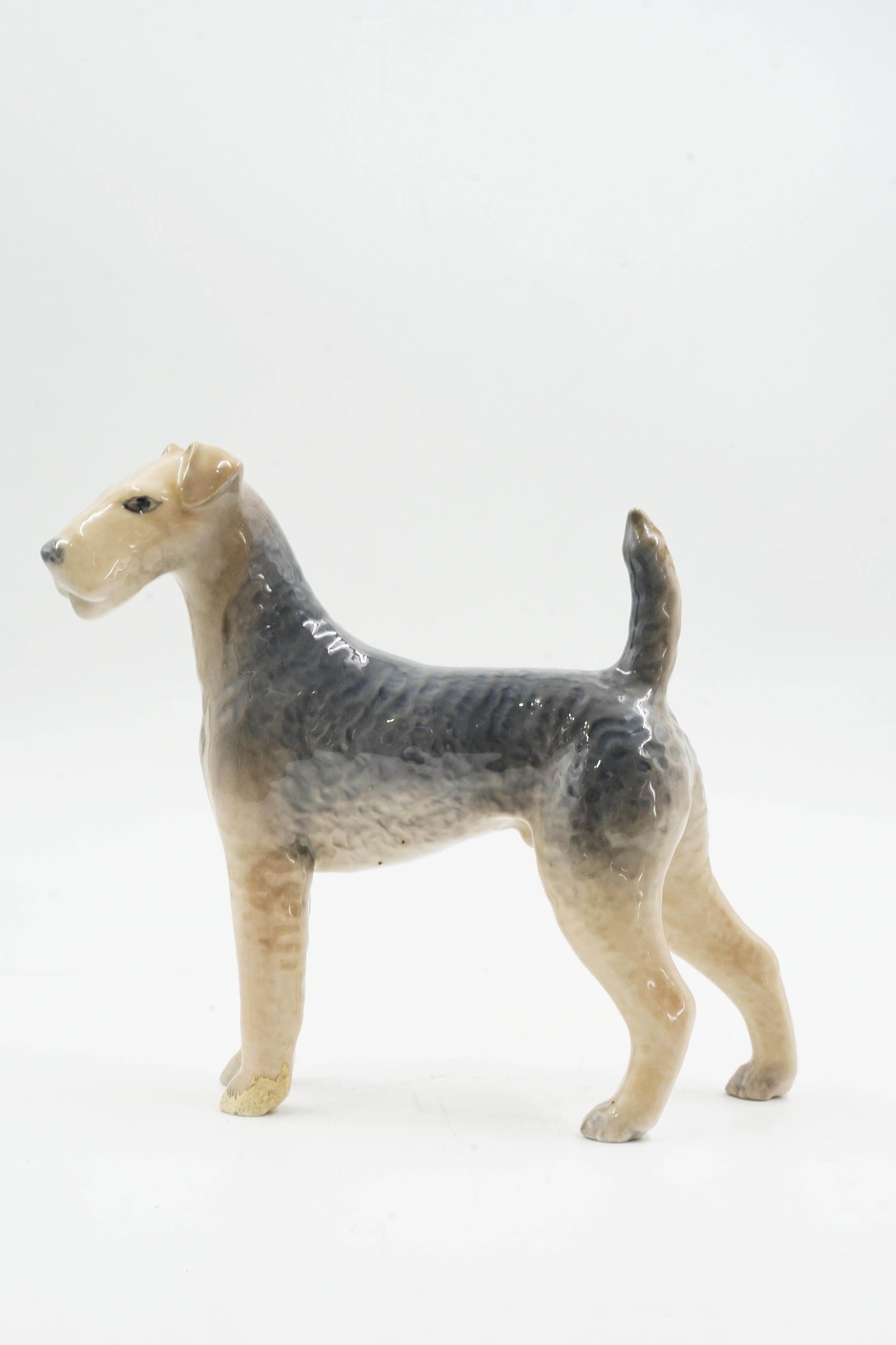 Royal Copenhagen dog ceramic sculpture
Origin Denmark Circa 1960
excellent general condition with some wear on one of its front legs
Dog sculpture possibly of the Airedale Terrier breed
glazed porcelain
al Copenhagen, officially Royal Porcelain